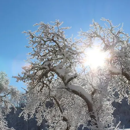 Apartment Haus Burgi Maishofen