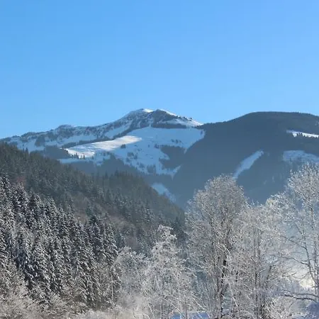 Haus Burgi Apartment *