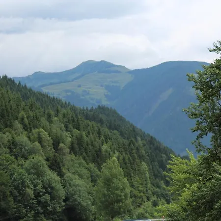 Apartment Haus Burgi Maishofen