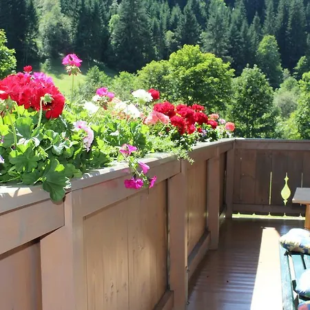 Apartment Haus Burgi