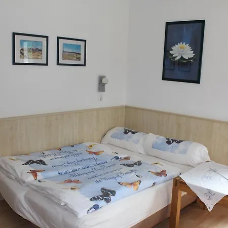 Haus Burgi *