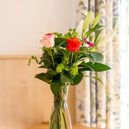 Haus Burgi Apartment Maishofen