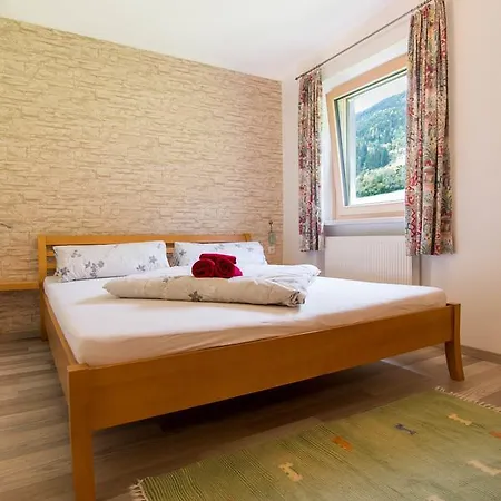 Haus Burgi Apartment *