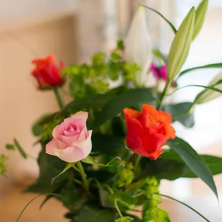 Haus Burgi 麦舒芬
