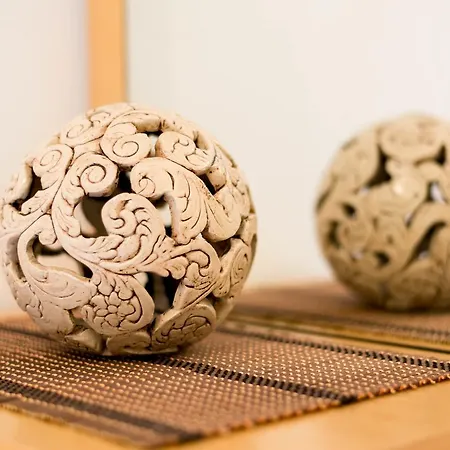 Haus Burgi Apartment