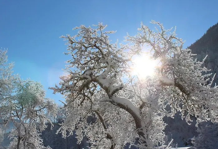 Апартаменты Haus Burgi Майсхофен