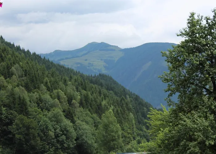 Daire Haus Burgi Maishofen