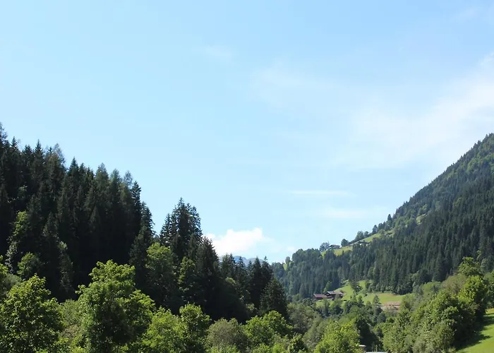 Haus Burgi