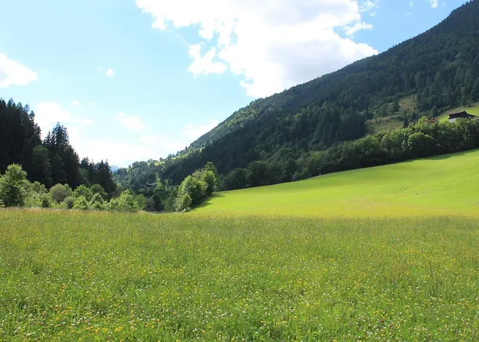 Haus Burgi Maishofen