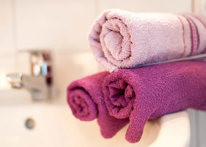 Haus Burgi Майсхофен